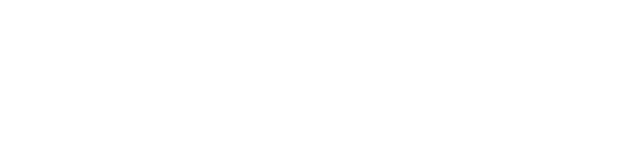 Digital Surge Logo